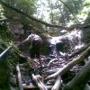 20080705(007) (Medium)